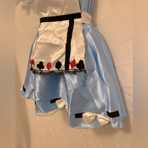 Alice in Wonderland Juniors costume dress - Picture 3 of 12
